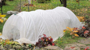 winter weather covering for yard plants