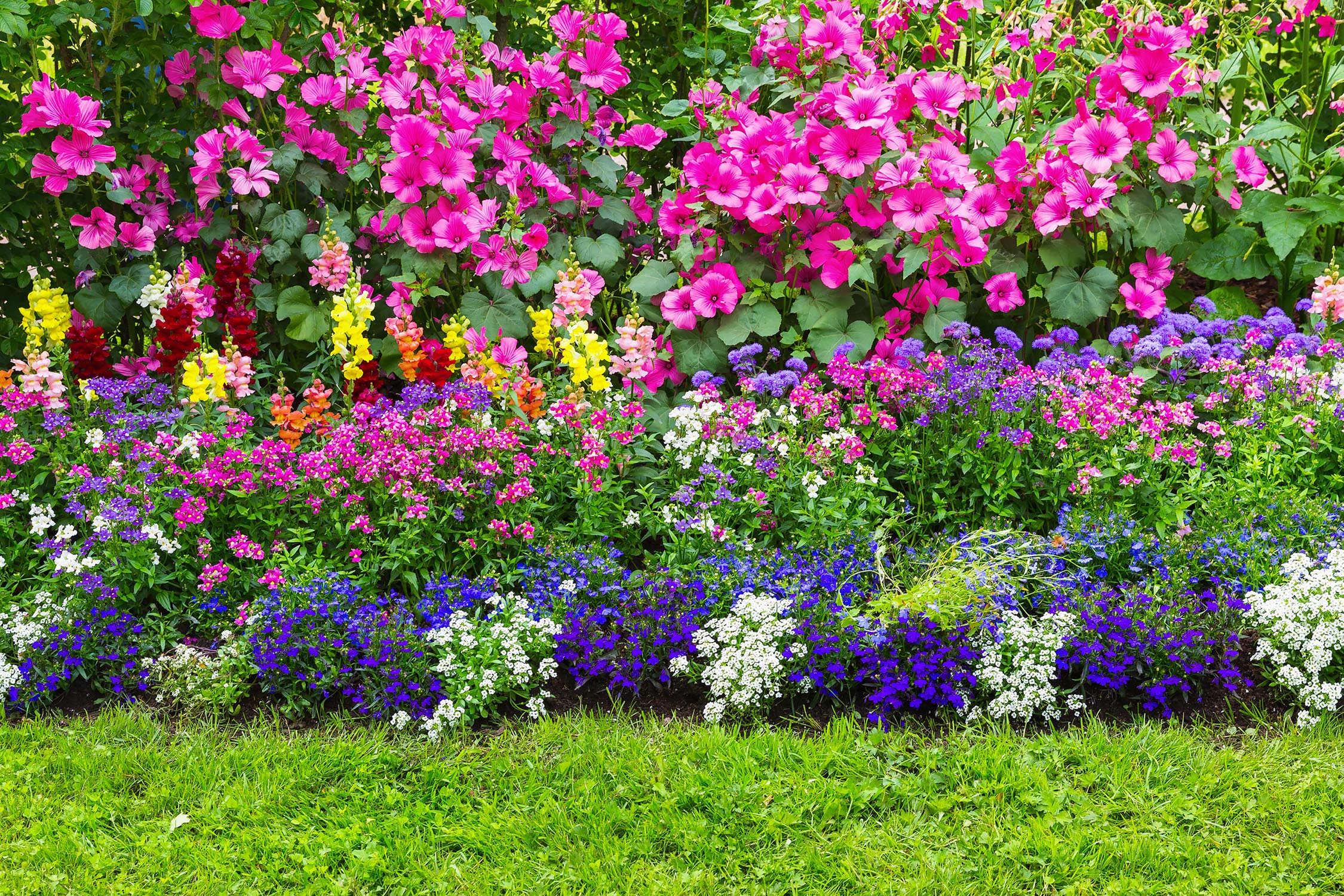 a series of well landscaped beautiful flower beds