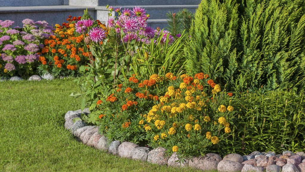 Summer Landscaping Tips - Pettys