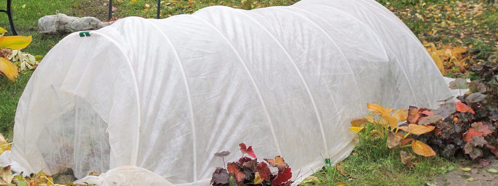 winter weather covering for yard plants