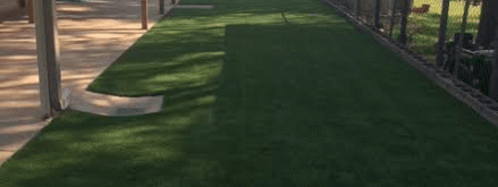 Artificial Turf
