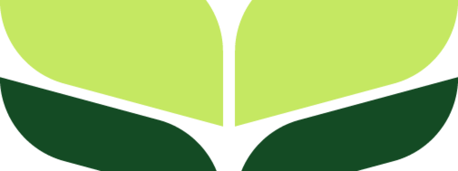 Mowix-Masking-1.png