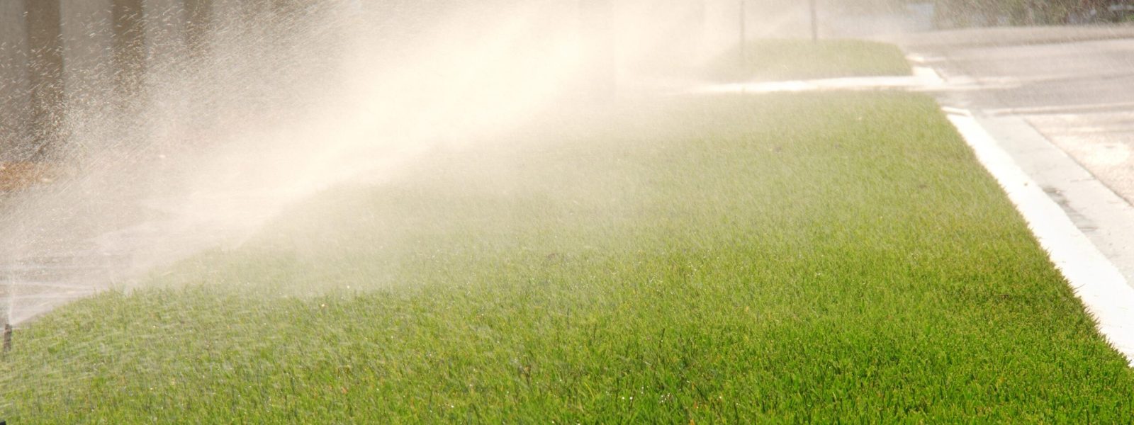 sprinkler